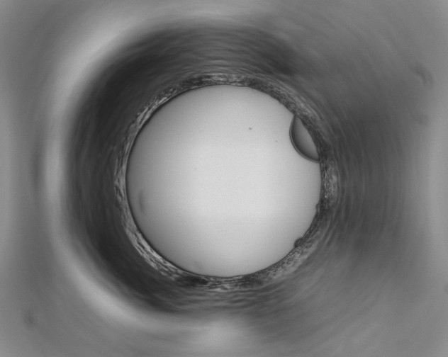 X0000113030764200908271055