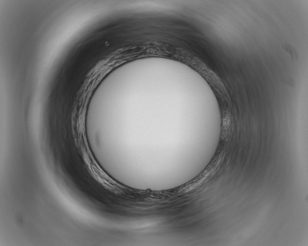 X0000113030765200908271055