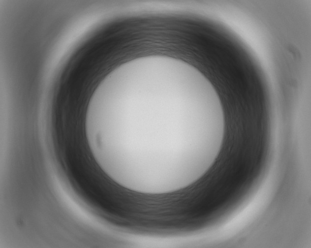 X0000113030766200908271055