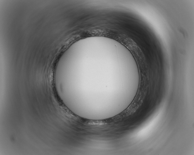 X0000113030767200908271055
