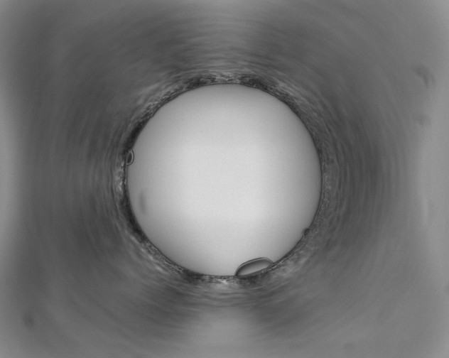 X0000113030768200908271055