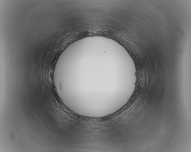 X0000113030770200908271054