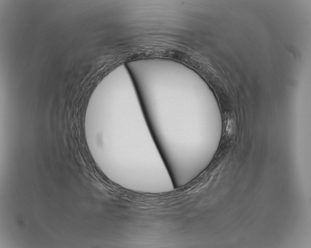 X0000113030771200908271054