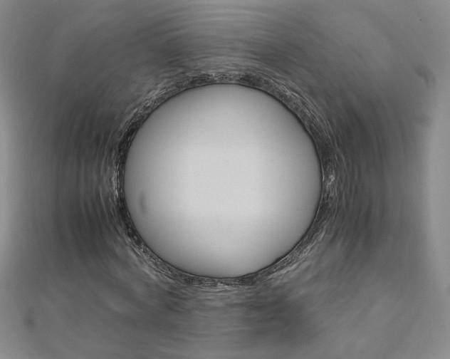X0000113030772200908271054