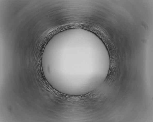 X0000113030773200908271054