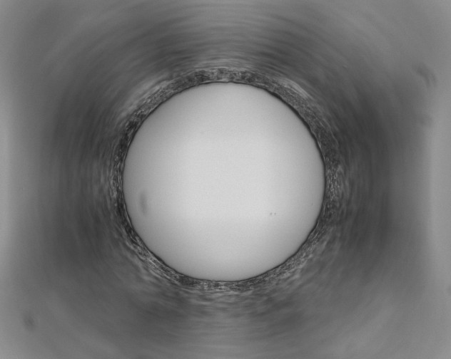 X0000113030774200908271054