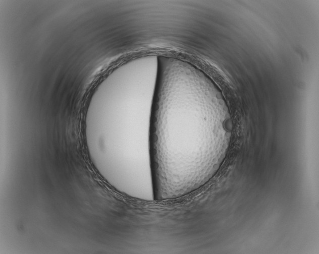 X0000113030776200908271054
