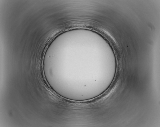 X0000113030777200908271054