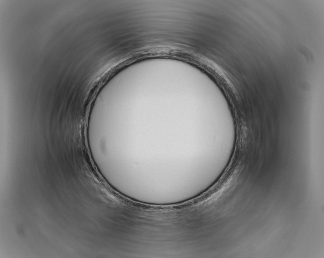 X0000113030778200908271054