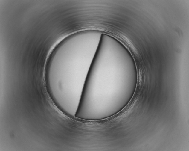 X0000113030780200908271054