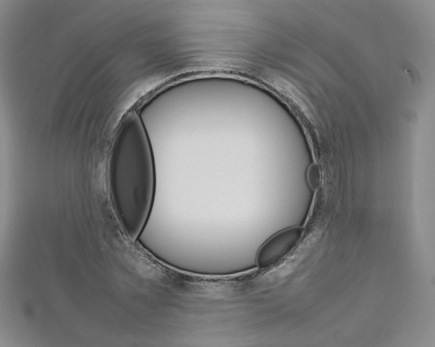 X0000113030781200908271054