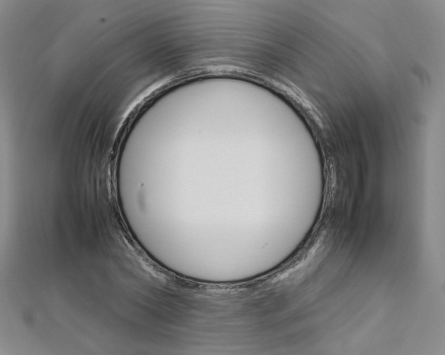 X0000113030782200908271054