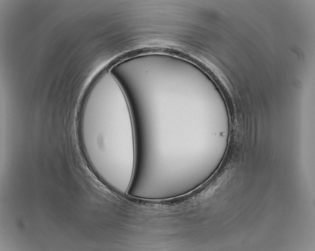 X0000113030783200908271054