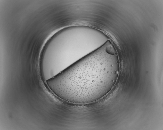 X0000113030784200908271054