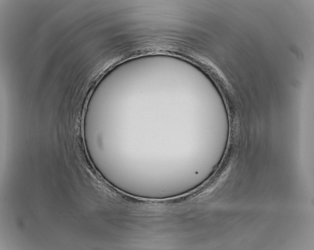 X0000113030785200908271054