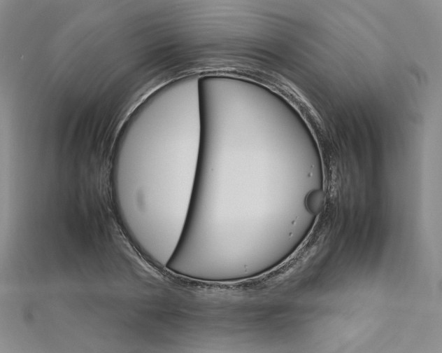 X0000113030786200908271054