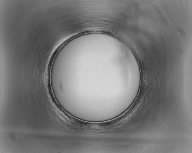 X0000113030787200908271054