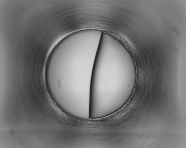 X0000113030788200908271054