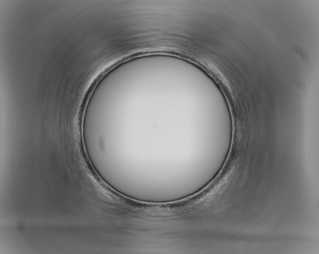 X0000113030789200908271054