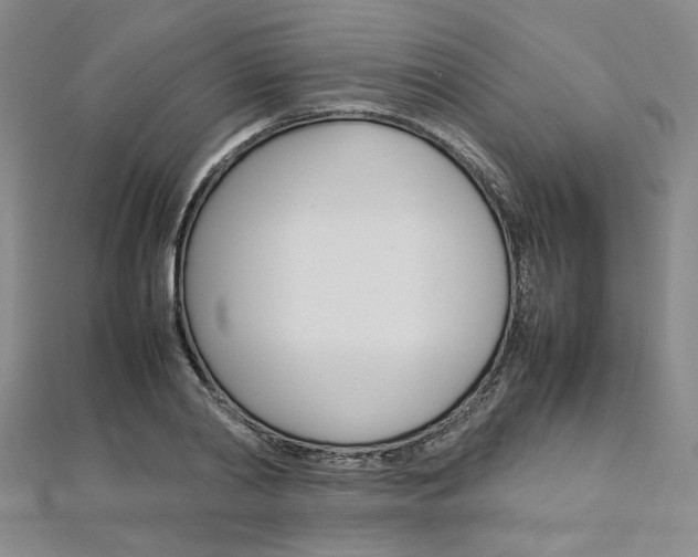 X0000113030790200908271054