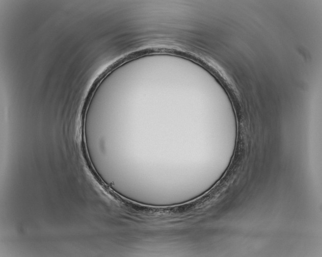 X0000113030791200908271054