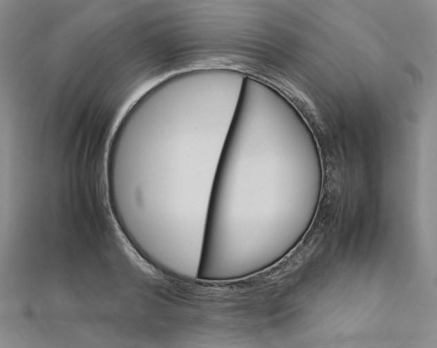 X0000113030792200908271054