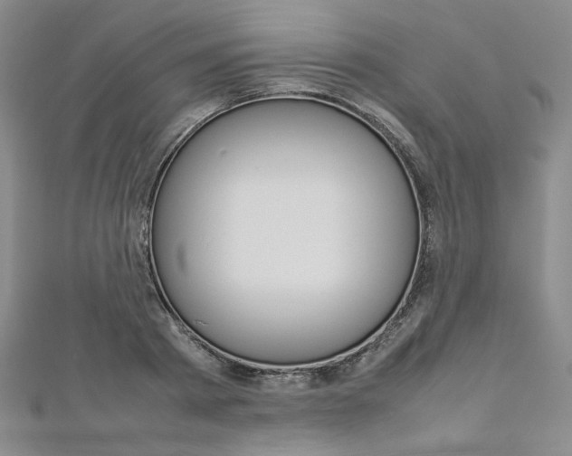 X0000113030793200908271054