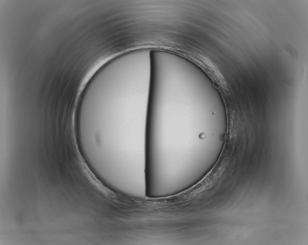 X0000113030796200908271054