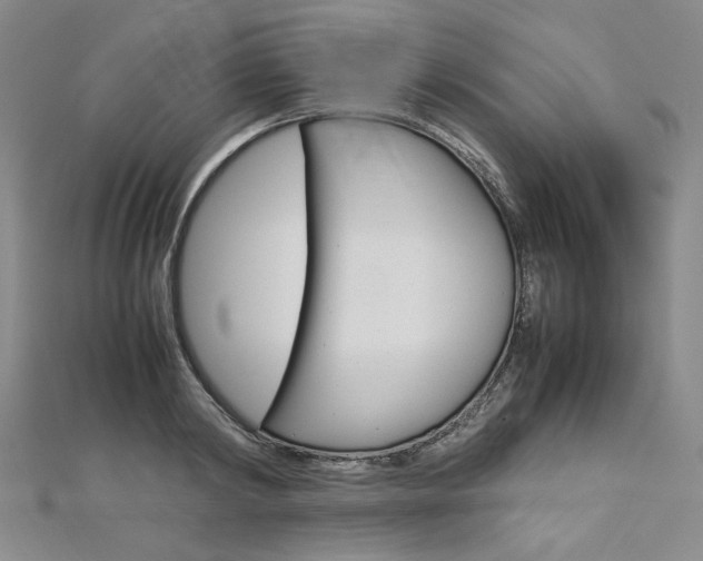 X0000113030798200908271054