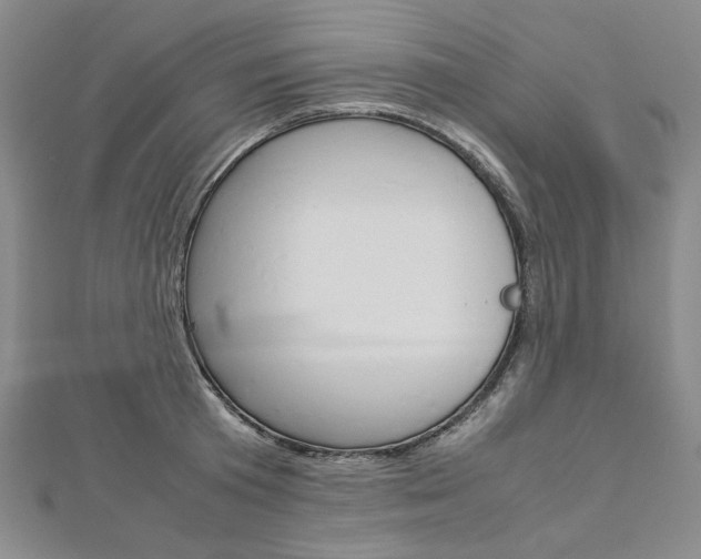 X0000113030801200908271054