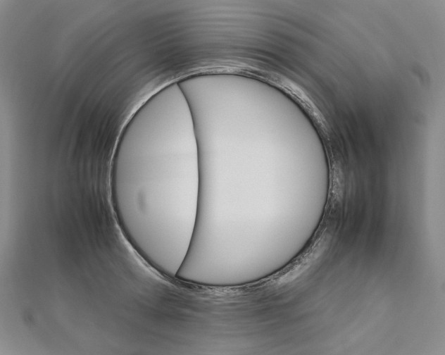 X0000113030802200908271054