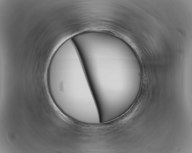 X0000113030803200908271054