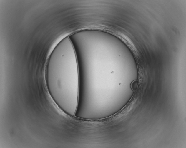 X0000113030804200908271054