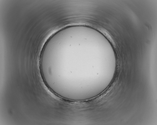 X0000113030805200908271054