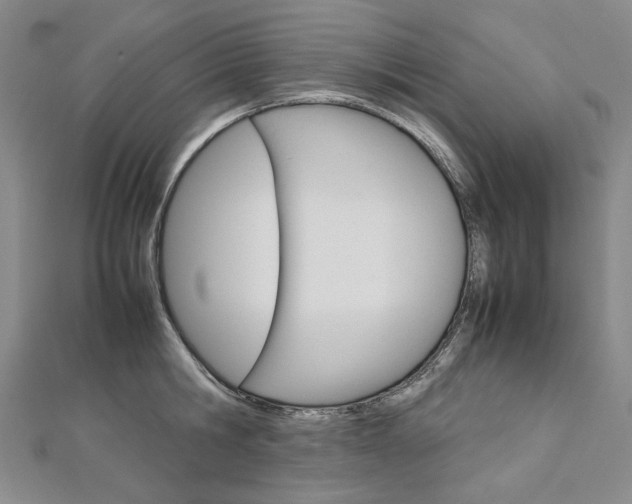 X0000113030806200908271054