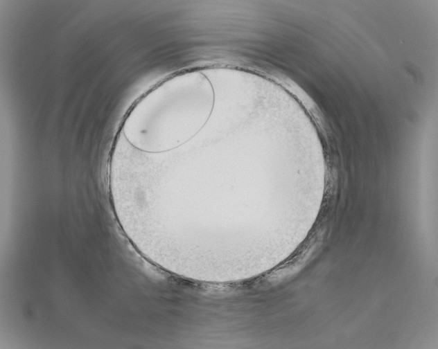 X0000113030807200908271054