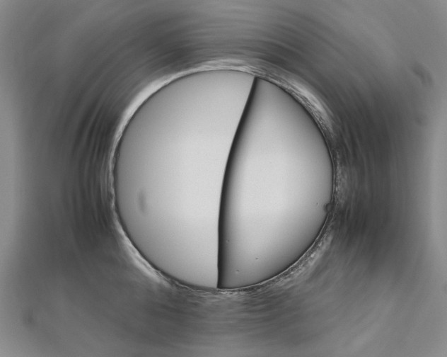 X0000113030808200908271054
