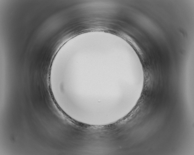 X0000113030810200908271053