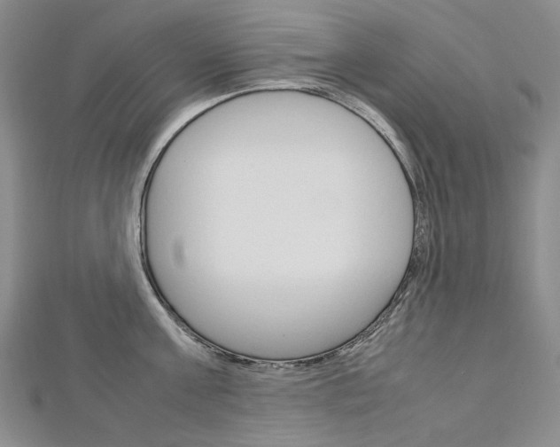 X0000113030811200908271053