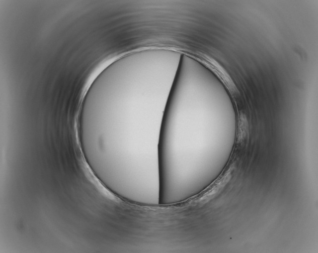 X0000113030812200908271053