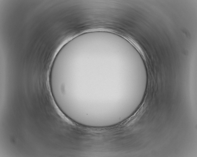 X0000113030813200908271053
