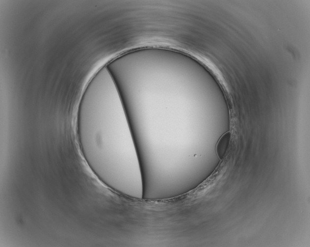 X0000113030815200908271053