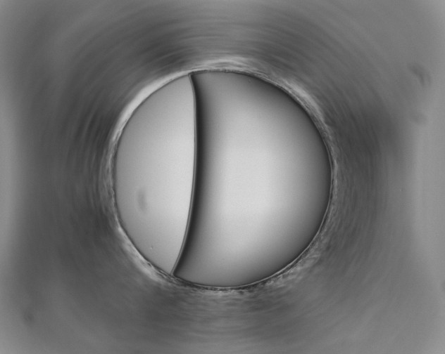 X0000113030816200908271053