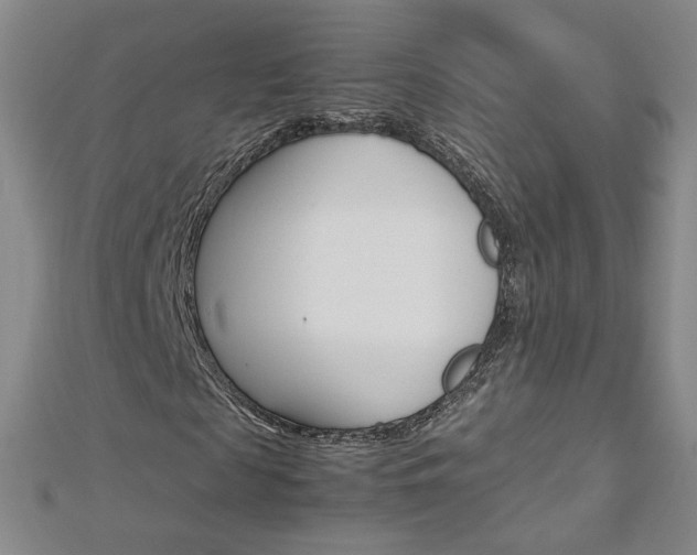 X0000113030817200908271053