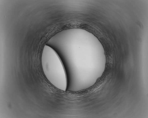 X0000113030818200908271053