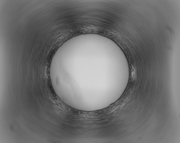 X0000113030819200908271053