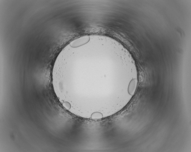 X0000113030820200908271053
