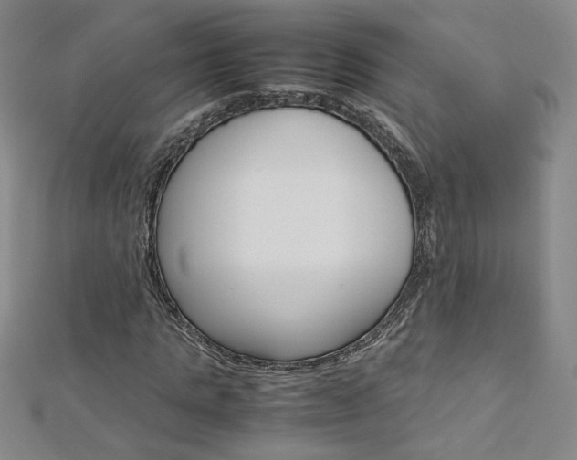 X0000113030821200908271053