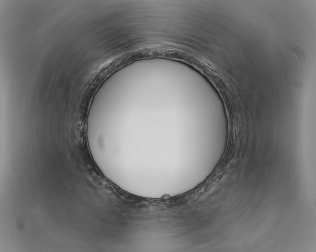 X0000113030822200908271053