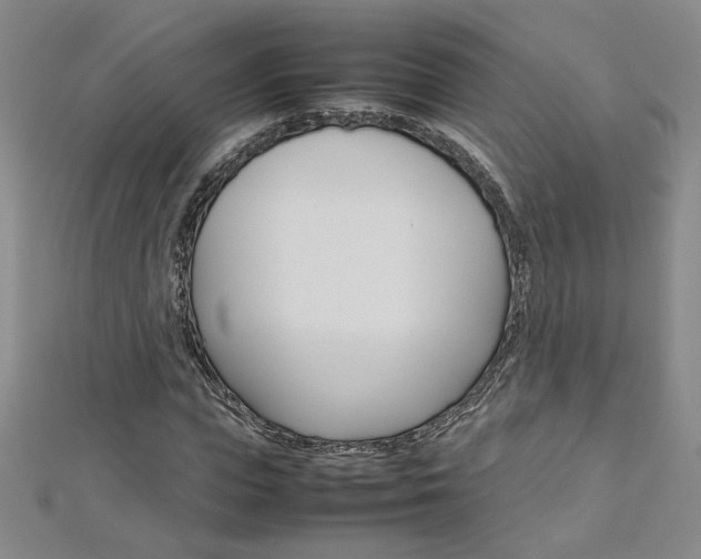X0000113030823200908271053